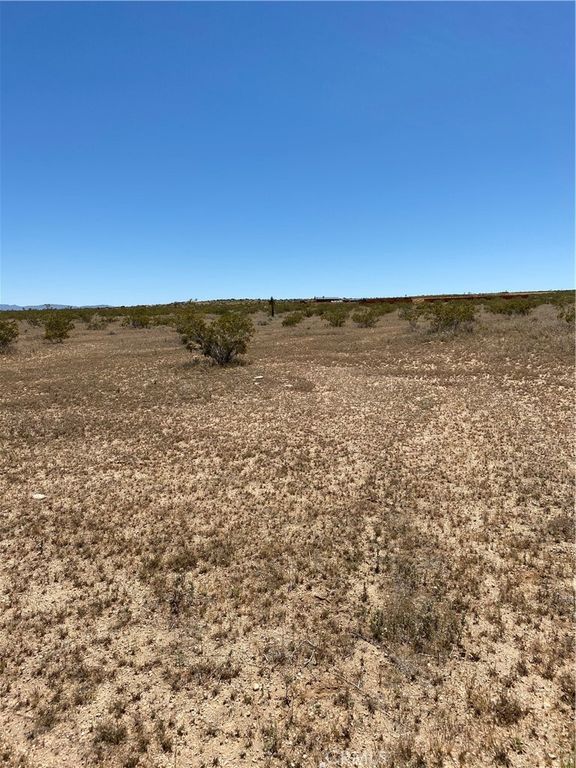 Image 4 of property listing at 900 Fetlock, Landers, CA 92285