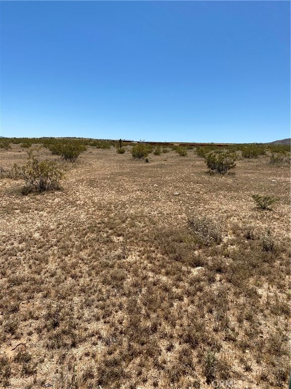 Image 6 of property listing at 900 Fetlock, Landers, CA 92285