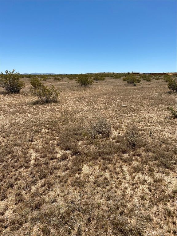 Image 7 of property listing at 900 Fetlock, Landers, CA 92285