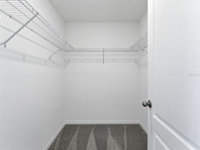 32156 POND APPLE BEND, San Antonio, FL 33576