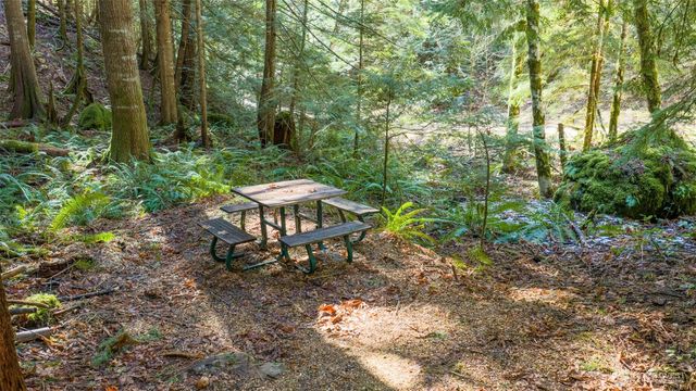 13 Dow Ridge Road, Hoodsport, WA 98548