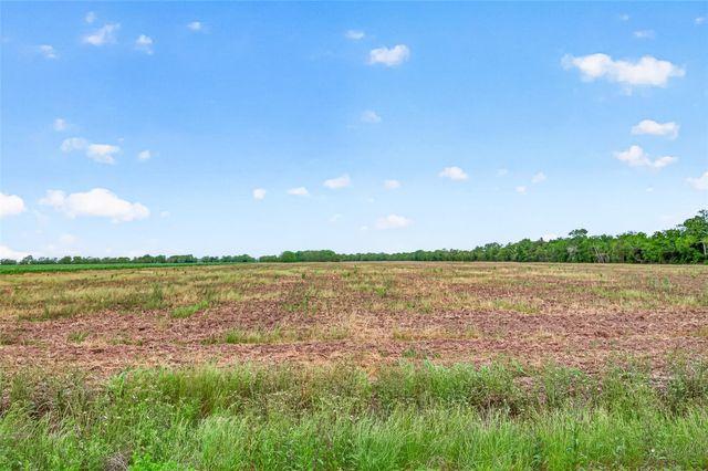 0 Walker Road, Beasley, TX 77417