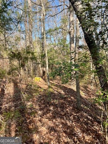 0 Edgewood Trail, Elberton, GA 30635