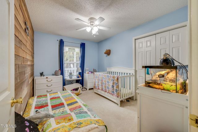 468 Old Embreeville Road, Jonesborough, TN 37659