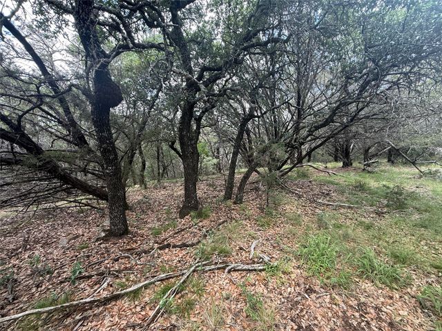 10131 Horizon View, Tolar, TX 76476