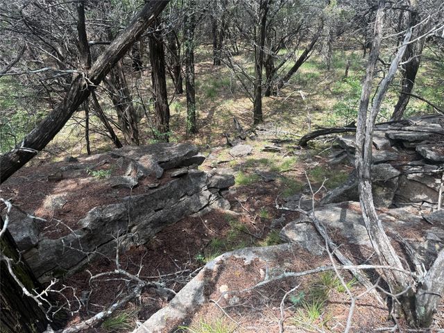 10131 Horizon View, Tolar, TX 76476