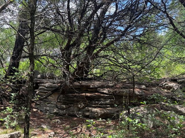 10131 Horizon View, Tolar, TX 76476