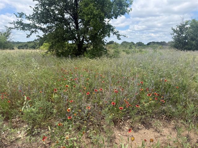 10131 Horizon View, Tolar, TX 76476