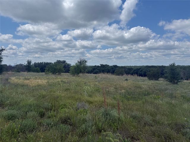 10131 Horizon View, Tolar, TX 76476
