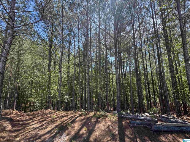 139 GLENGERRY DRIVE, Pelham, AL 35124
