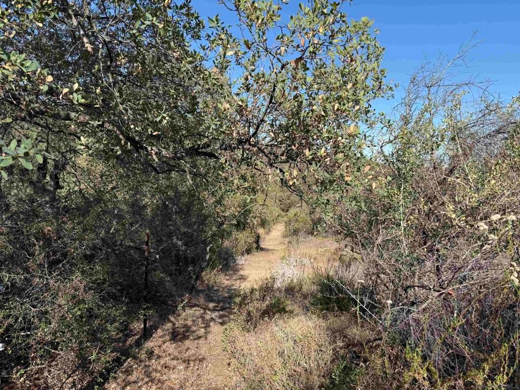 Image 19 of property listing at 22815 Illahee Dr., Alpine, CA 91901