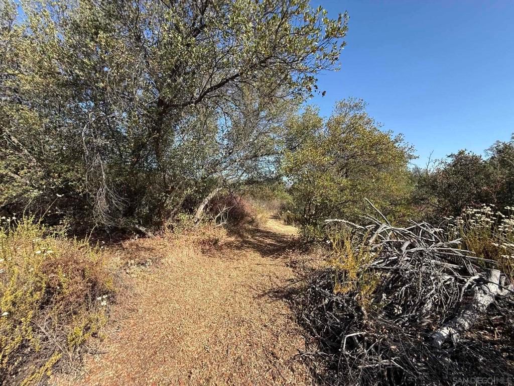 Image 22 of property listing at 22815 Illahee Dr., Alpine, CA 91901