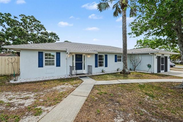 1338 PILGRIM RD, Spring Hill, FL 34606