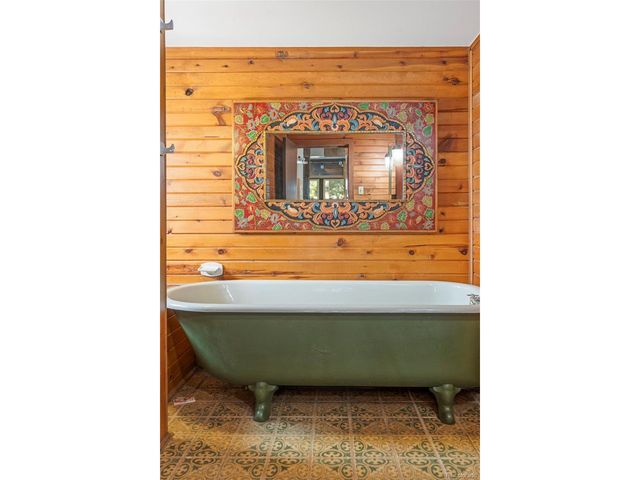 590 W Pine St, Nederland, CO 80466