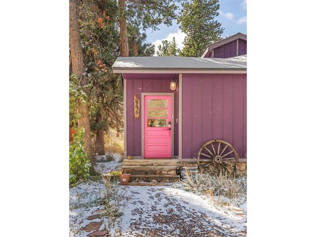 590 W Pine St, Nederland, CO 80466