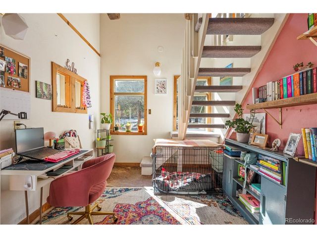 590 W Pine St, Nederland, CO 80466