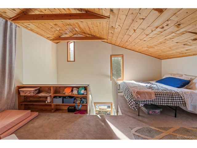 590 W Pine St, Nederland, CO 80466