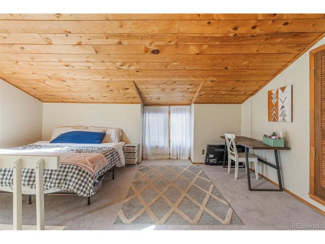 590 W Pine St, Nederland, CO 80466