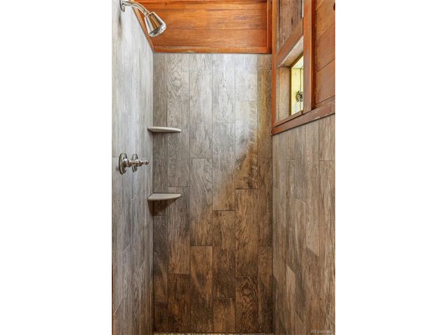 590 W Pine St, Nederland, CO 80466