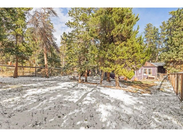 590 W Pine St, Nederland, CO 80466