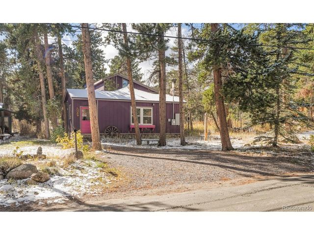 590 W Pine St, Nederland, CO 80466