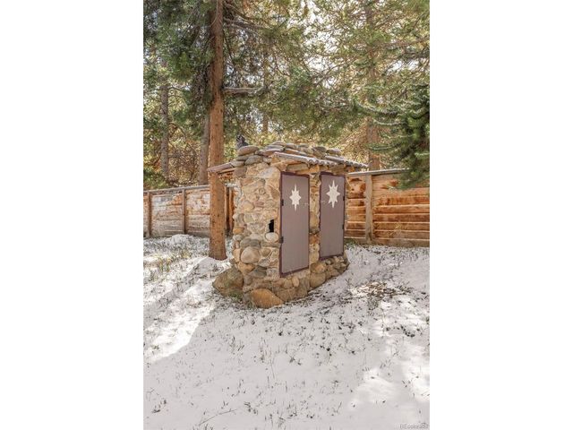 590 W Pine St, Nederland, CO 80466