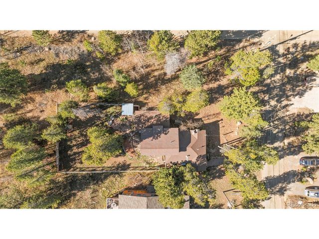 590 W Pine St, Nederland, CO 80466