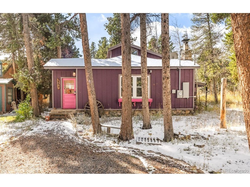 590 W Pine St, Nederland, CO 80466