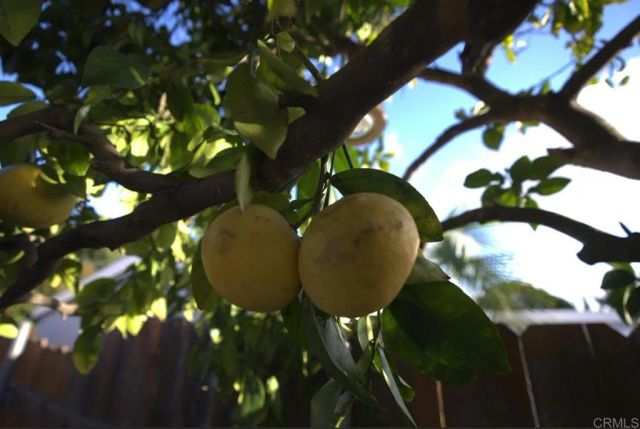 2567 Monette Drive A, San Diego, CA 92123