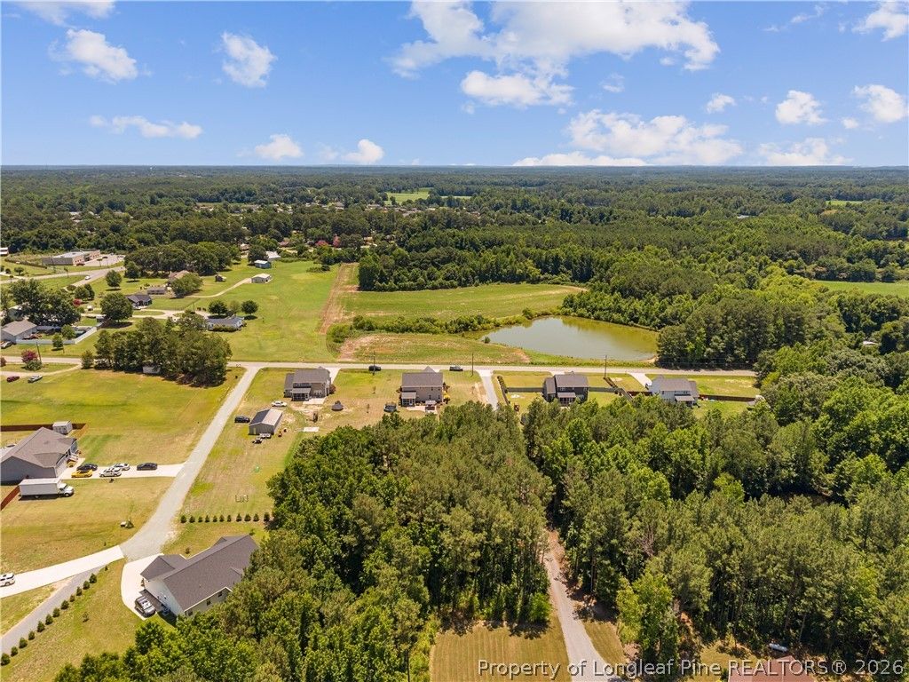 137 Minter School Road, Sanford, NC 27332 — photo 47