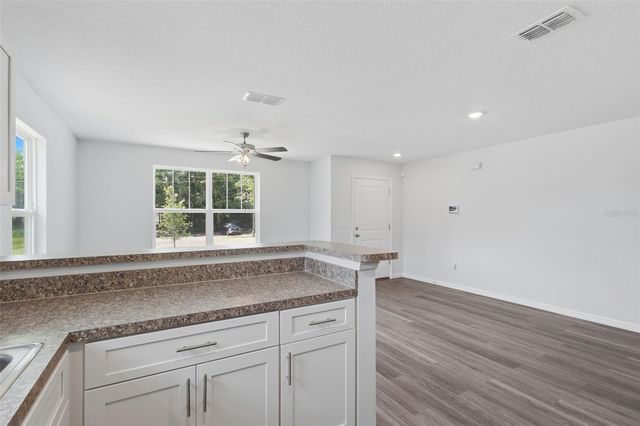 3411 WARREN SAPP DRIVE, Apopka, FL 32712