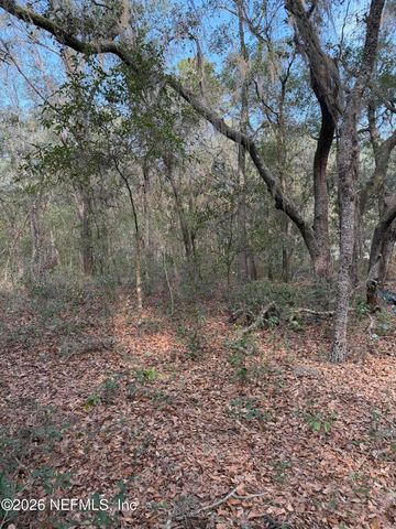 102 DAVID Drive, Interlachen, FL 32148