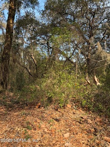 102 DAVID Drive, Interlachen, FL 32148