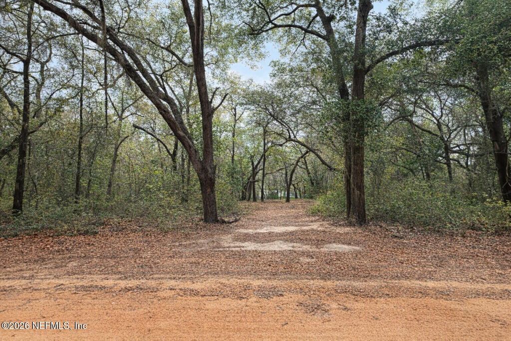 102 DAVID Drive, Interlachen, FL 32148