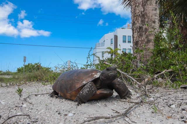 19 LEMON BAY LANE, Placida, FL 33946