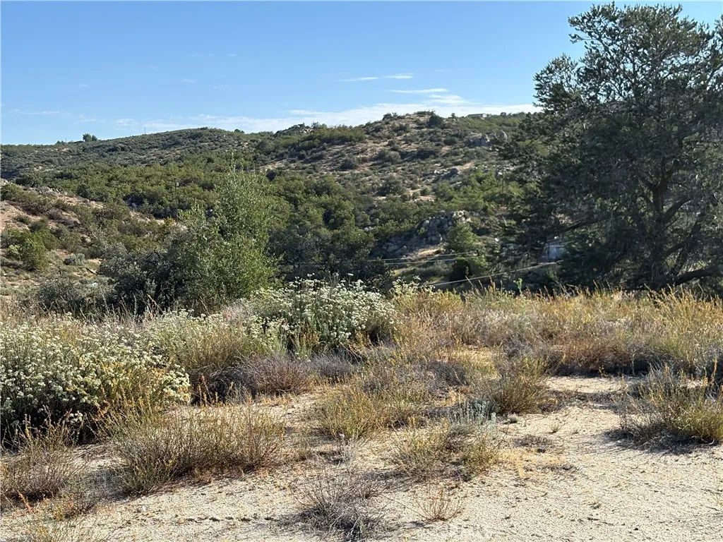 0 Dry Wash, Anza, CA 92539
