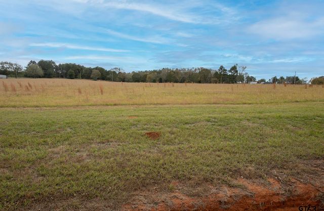 Lt 4 TBD FM 1892, Frankston, TX 75763