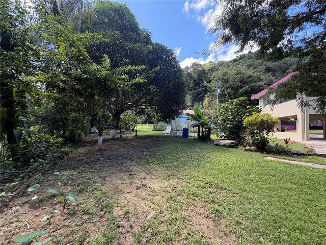 KM 4.9 PR 175 Lot 1, Caguas, PR 00725