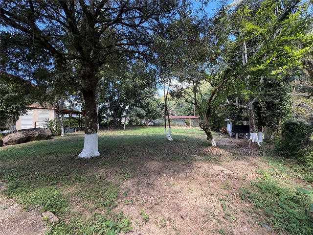 KM 4.9 PR 175 Lot 1, Caguas, PR 00725