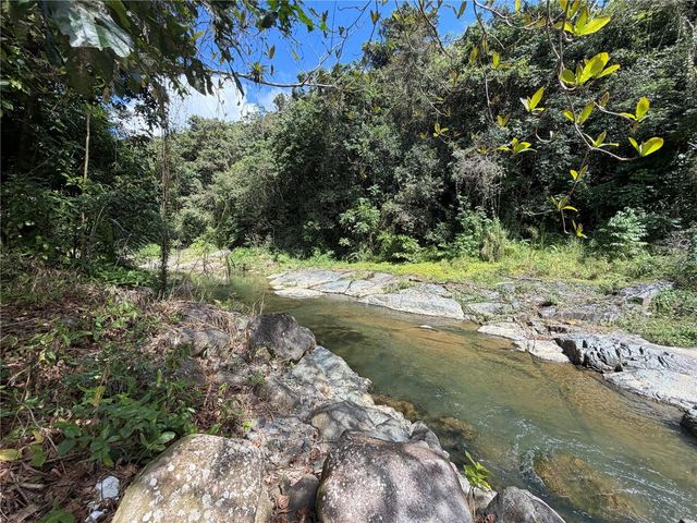 KM 4.9 PR 175 Lot 1, Caguas, PR 00725