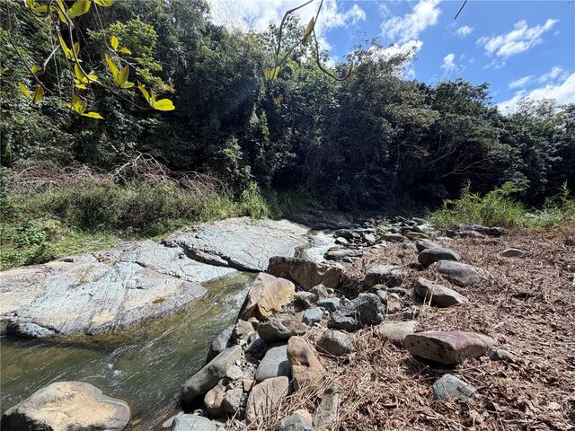 KM 4.9 PR 175 Lot 1, Caguas, PR 00725