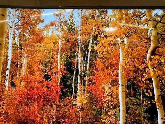 W6616 County Road V, Holmen, WI 54636