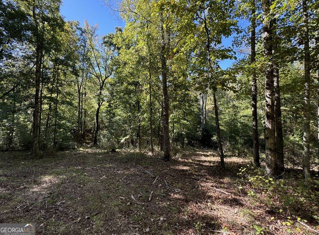 200 AC W Ellis Road, Griffin, GA 30223