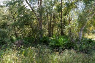 NE 156 ST, Old Town, FL 32680