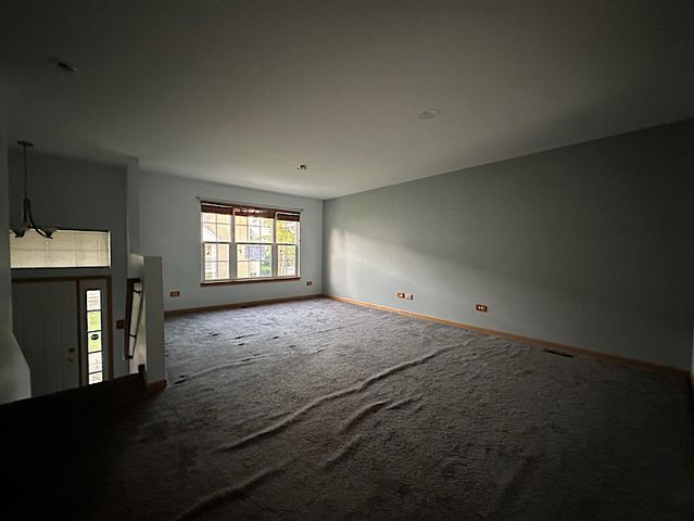 536 Meadow Lily Drive, Joliet, IL 60431