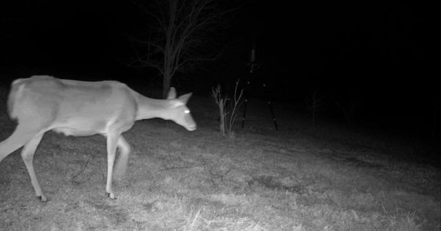 0000 County Road 2610, Bonham, TX 75418