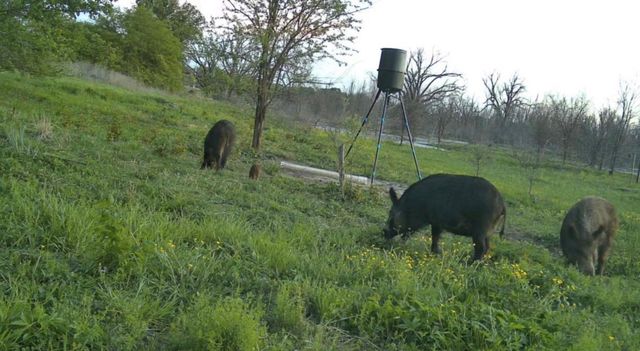 0000 County Road 2610, Bonham, TX 75418