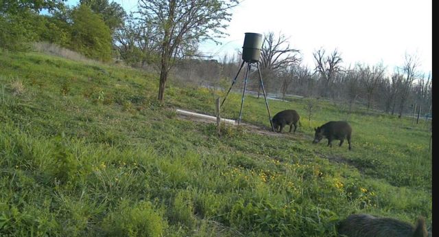 0000 County Road 2610, Bonham, TX 75418