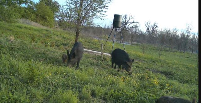 0000 County Road 2610, Bonham, TX 75418