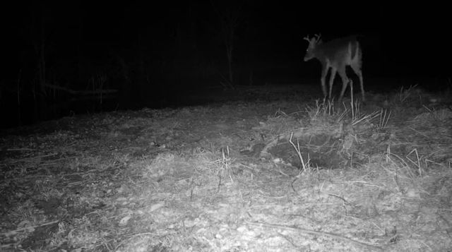 0000 County Road 2610, Bonham, TX 75418